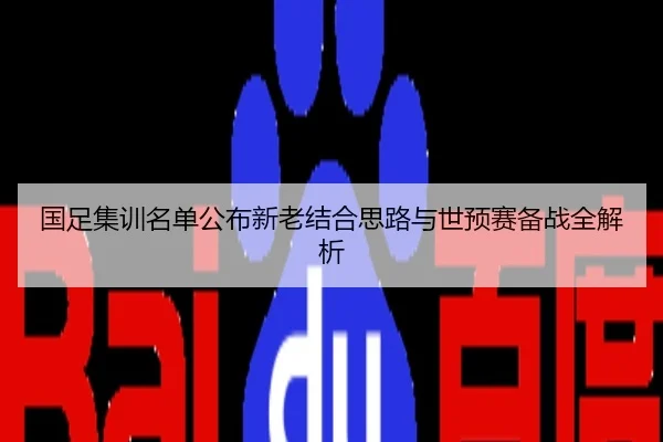 国足集训名单公布新老结合思路与世预赛备战全解析